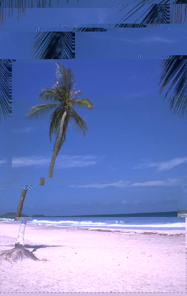 Sample Picture